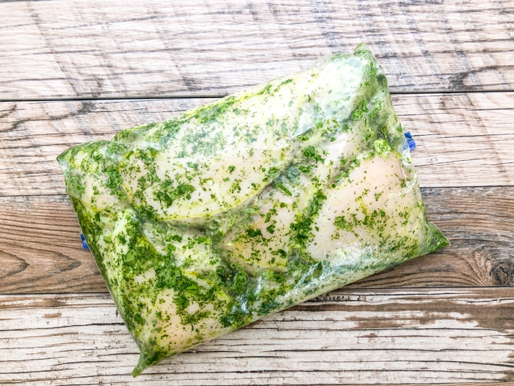 grilled cilantro lime chicken skewers marinating in zip loc bag