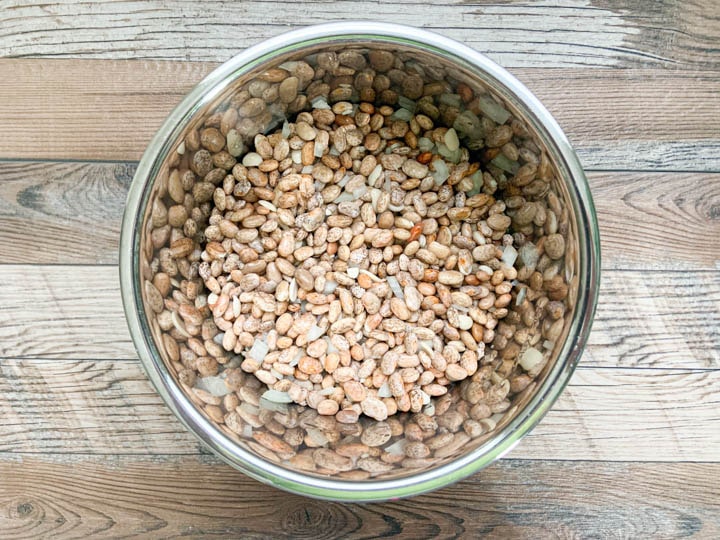 dried beans in instant pot insert