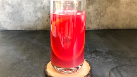 one glass of iced citrus hibiscus drink sitting on a coaster.