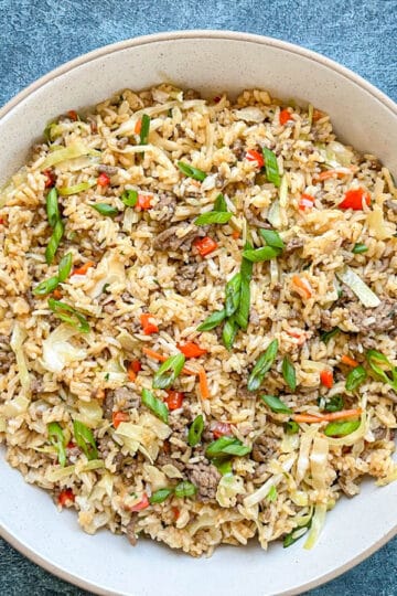 Overhead shot of hamburger and rice in white bowl.